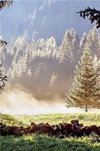 Forest Meadow in the Dolomites of Italy Journal