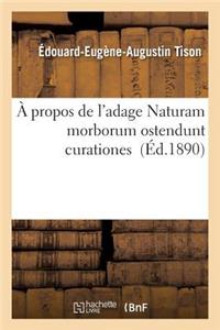 A Propos de l'Adage Naturam Morborum Ostendunt Curationes