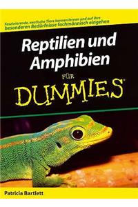 Reptilien und Amphibien Fur Dummies