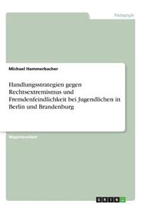 Handlungsstrategien gegen Rechtsextremismus und Fremdenfeindlichkeit bei Jugendlichen in Berlin und Brandenburg