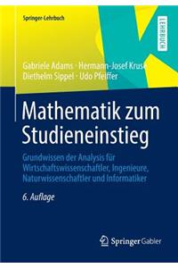 Mathematik Zum Studieneinstieg