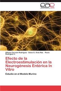 Efecto de la Electroestimulación en la Neurogénesis Entérica In Vitro