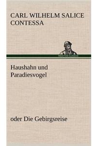 Haushahn Und Paradiesvogel