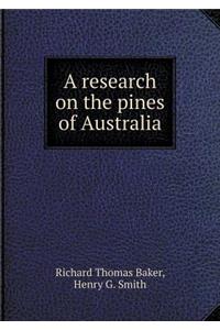 A Research on the Pines of Australia