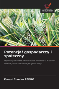 Potencjal gospodarczy i spoleczny