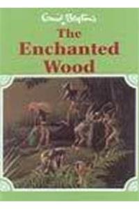 Enchanted Wood