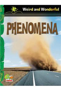 Phenomena: Key stage 1