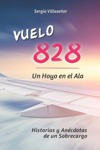 Vuelo 828 - Un Hoyo en el Ala