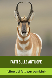 Fatti sulle Antilope (Libro dei fatti per bambini)