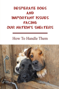 Desperate Dogs And Important Issues Facing Our Nation's Shelters