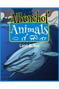A Bunch Of Animals