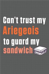Can't trust my Ariegeois to guard my sandwich