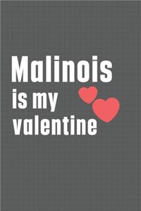 Malinois is my valentine