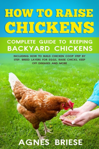 How To Raise Chickens Complete Guide To Keeping backyard Chickens