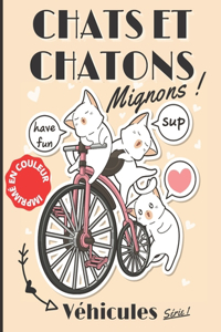 Chats et Chatons Mignons Véhicules