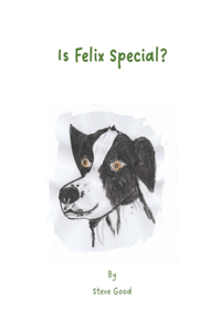 Is Felix Special?
