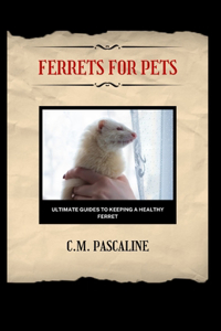 Ferrets for Pets