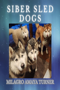Siber Sled Dogs