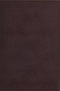 The Life of St. Severin