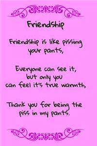 Friendship, Friendship is Like Pissing Your Pants: A fun place to write in. 6 x 9 110 pages