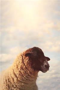 Suspicious Sheep Side Eye Animal Journal