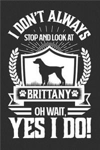 I Don't Always Stop and Look At Brittany OH Wait, Yes I Do!