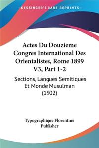 Actes Du Douzieme Congres International Des Orientalistes, Rome 1899 V3, Part 1-2