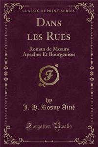 Dans Les Rues: Roman de Moeurs Apaches Et Bourgeoises (Classic Reprint)