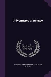 Adventures in Borneo