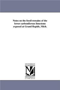 Notes on the fossil remains of the lower carboniferous limestone exposed at Grand Rapids, Mich.