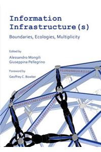 Information Infrastructure(s)