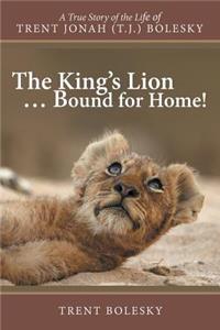 King's Lion ... Bound for Home!