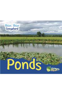 Water, Water Everywhere Ponds