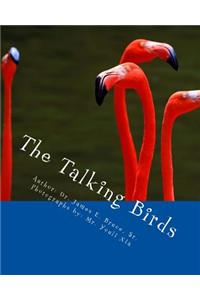 Talking Birds