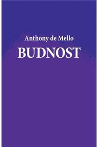 Budnost