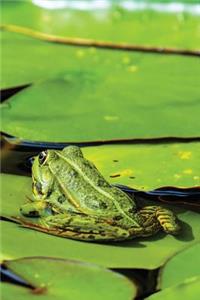 Lilypad Frog Journal
