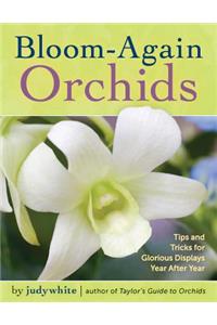 Bloom-Again Orchids
