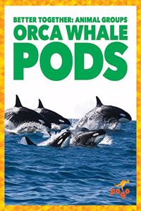 Orca Whale Pods