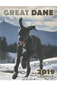 Great Dane 2019 Calendar