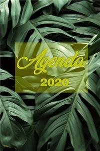 Agenda 2020