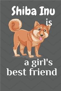 Shiba Inu is a girl's best friend