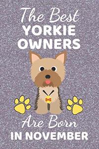 The Best Yorkie Owners Are Born In November