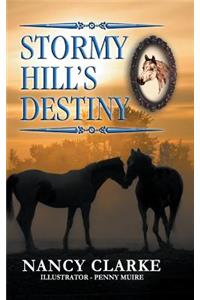 Stormy Hill's Destiny