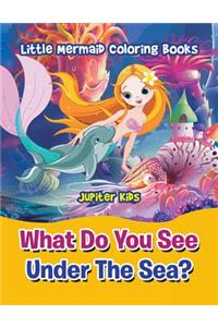 What Do You See Under The Sea?