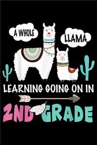 A whole llama learning going on in 2nd Grade
