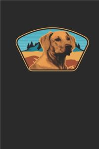 Labrador With Mountains Background