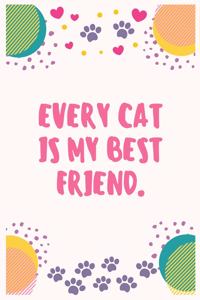 Every cat is my best friend