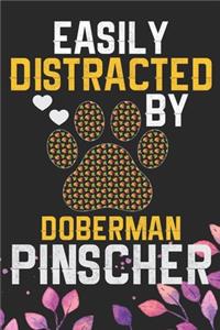 Easily Distracted by Doberman Pinscher
