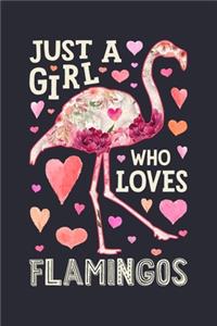 Just a Girl Who Loves Flamingos