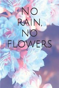 No Rain, No Flowers